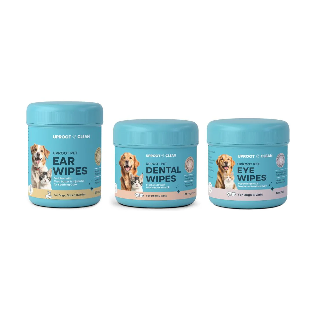 Pet Care Products